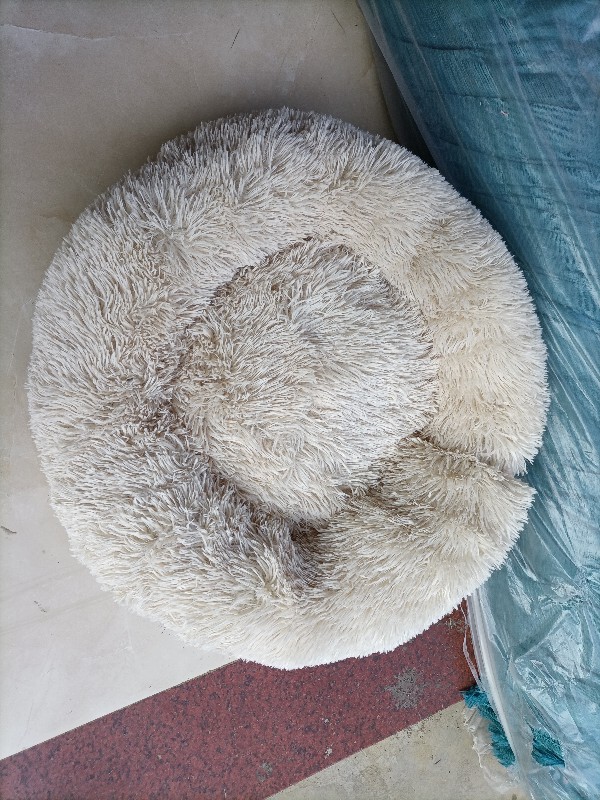 Round Pet House Image 12
