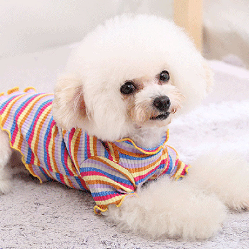 Rainbow Stripe Cotton Sweatshirt in Red