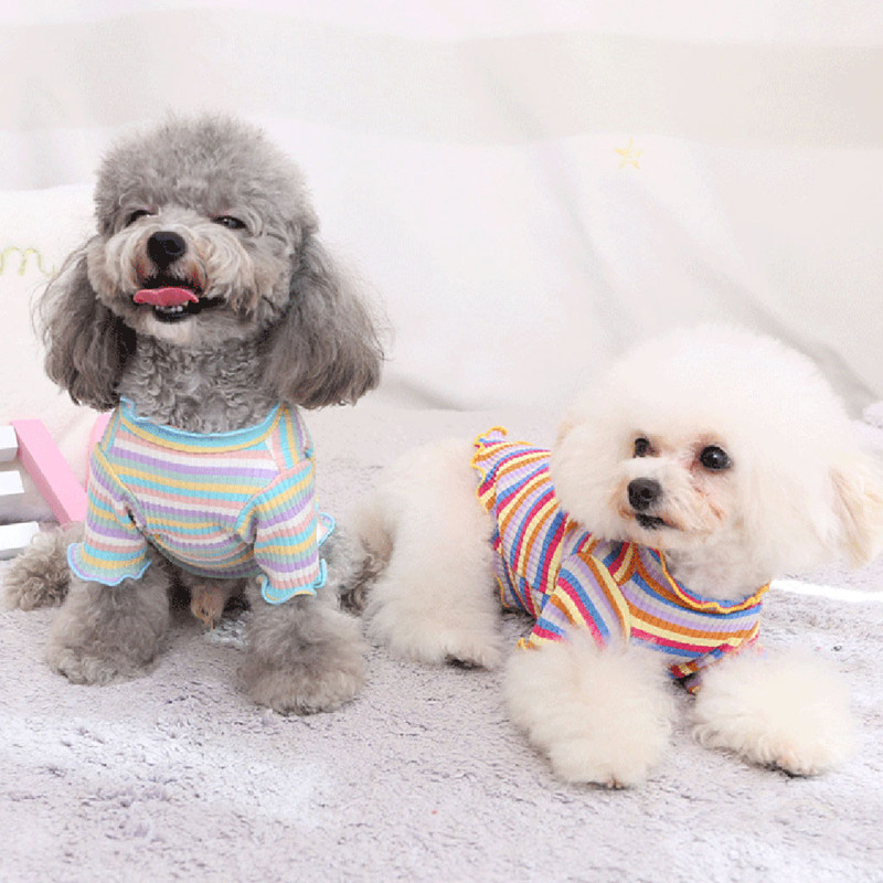 Rainbow Stripe Cotton Sweatshirt in different colors
