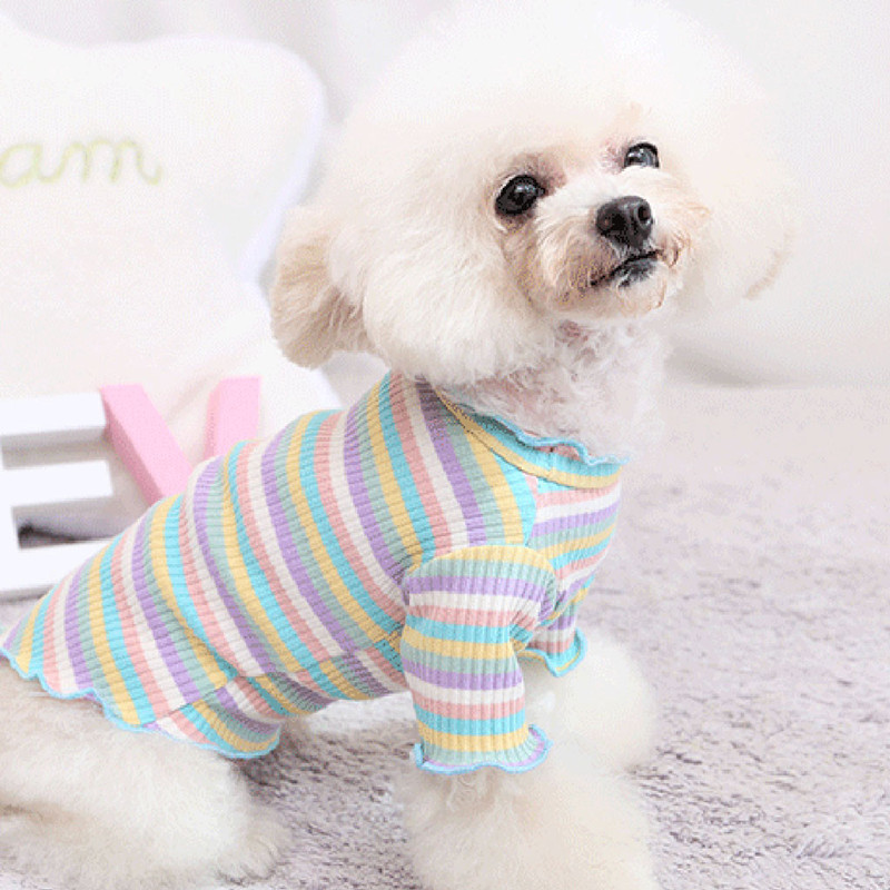 Rainbow Stripe Cotton Sweatshirt for Dogs