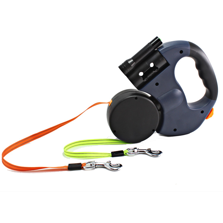 Pet Walking with Leash