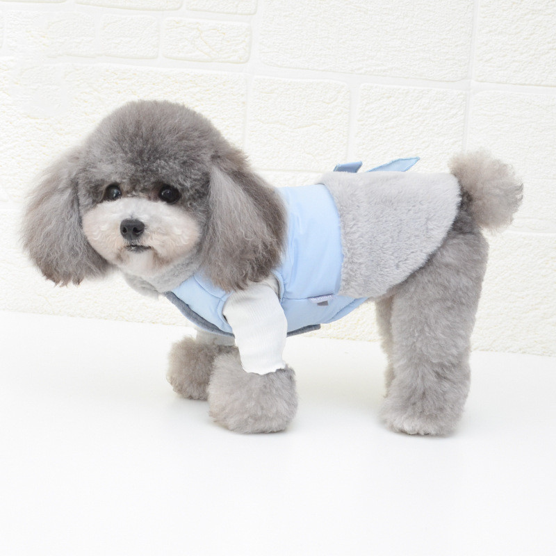 Cozy dog outfit