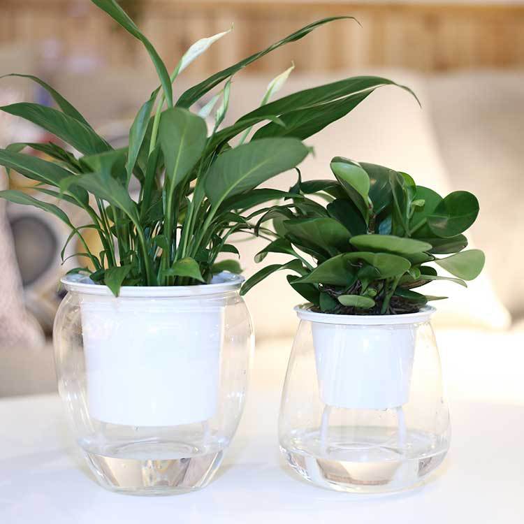 Flowerpot in use