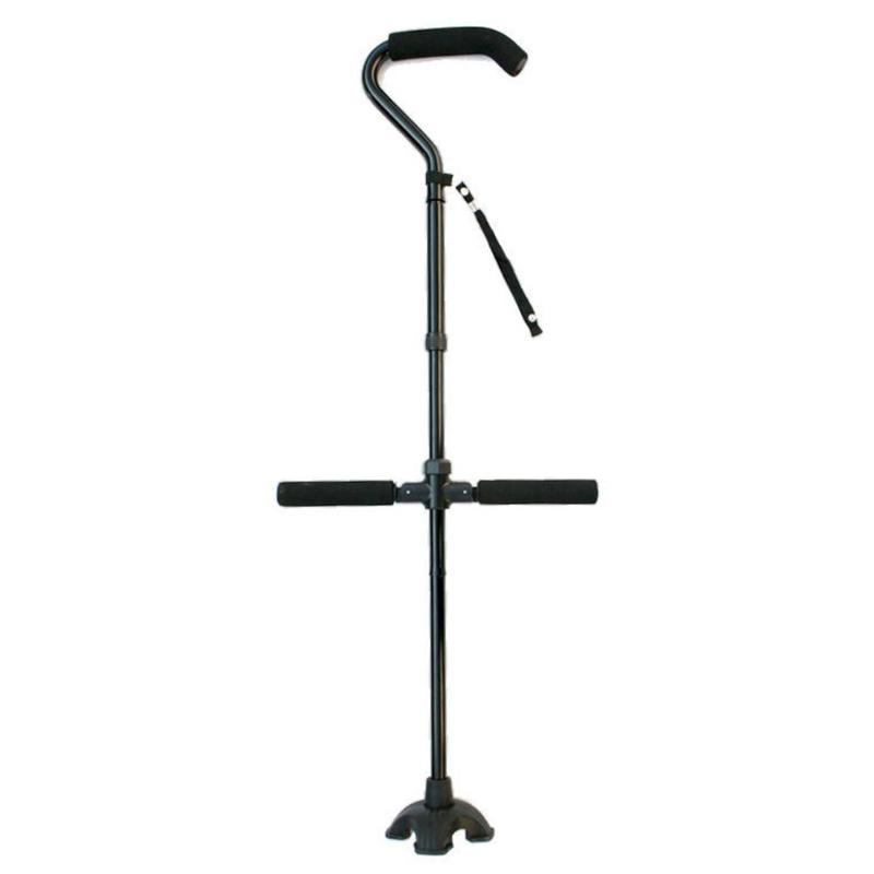 Cane Image 2