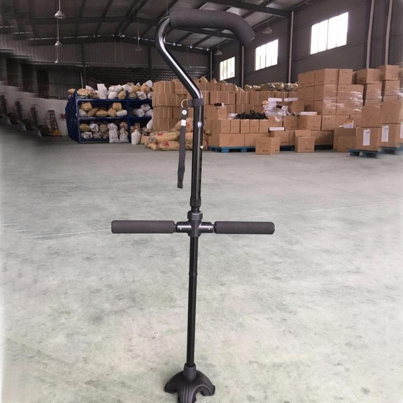 Cane Image 3