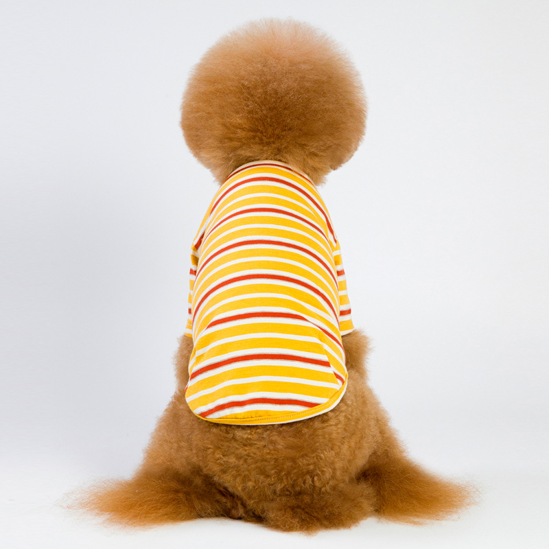 Striped Dog Outfit 4