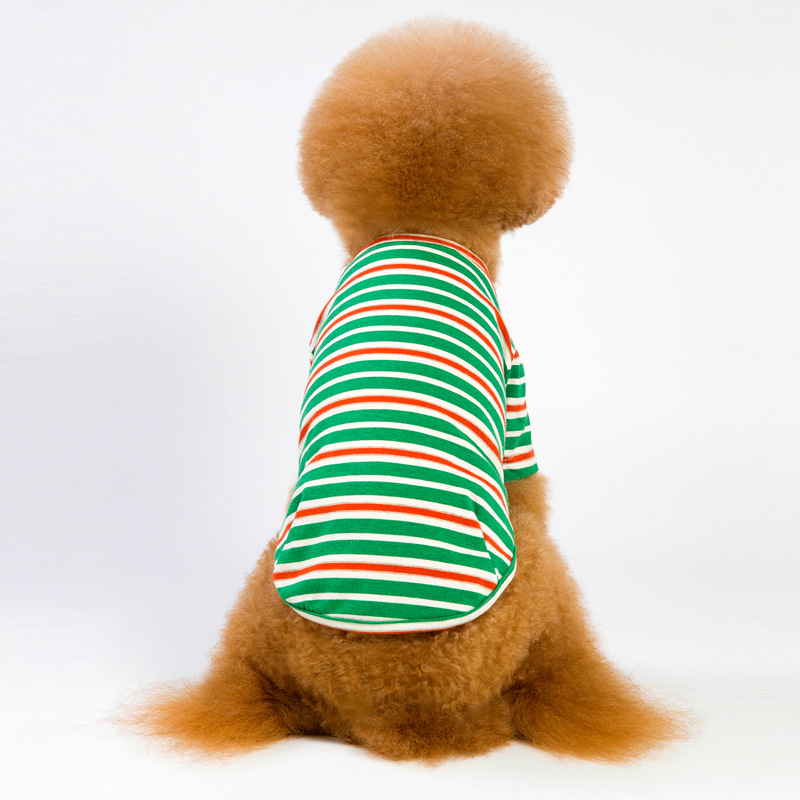 Striped Dog Outfit 3