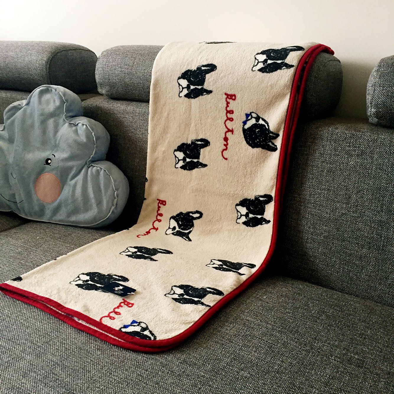 Cute coral fleece blanket image 2