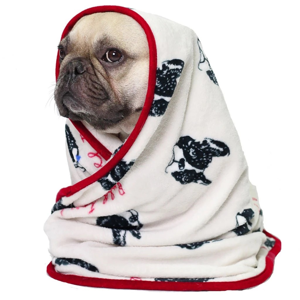 Cute coral fleece blanket image 1