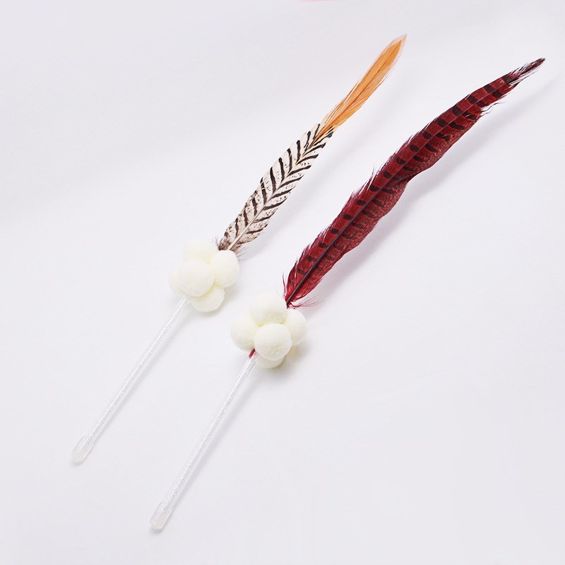 Close-up of Feather Cat Teaser Wand