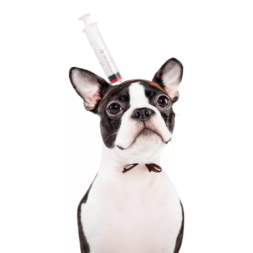 Pet Headwear Style 3