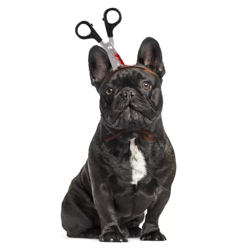 Pet Headwear Style 5