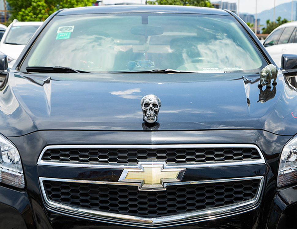 Skull Hood Ornament on Car