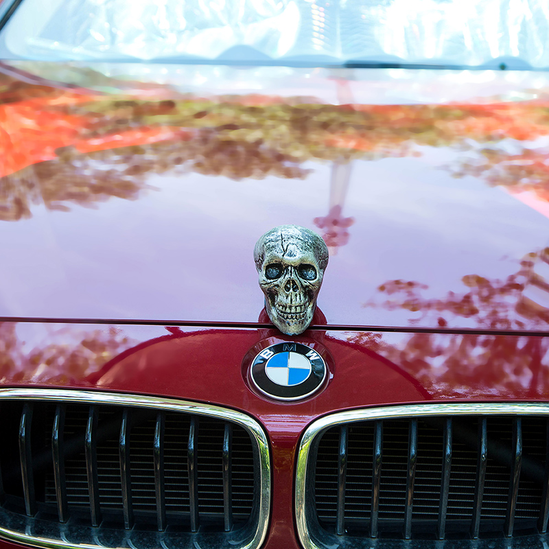 Skull Hood Ornament Side View