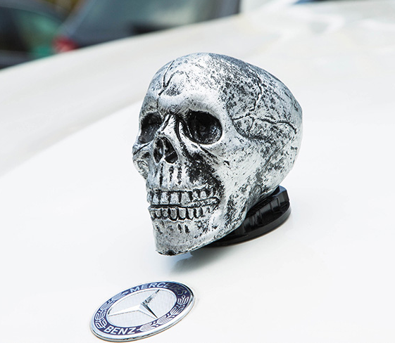 Skull Hood Ornament Close-up