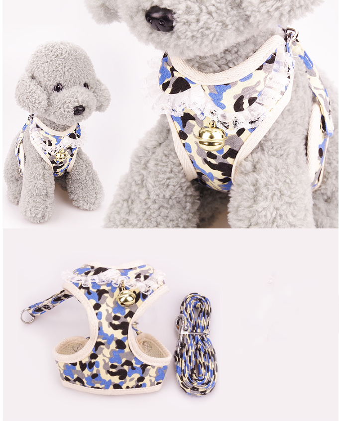 Pet Leash 3