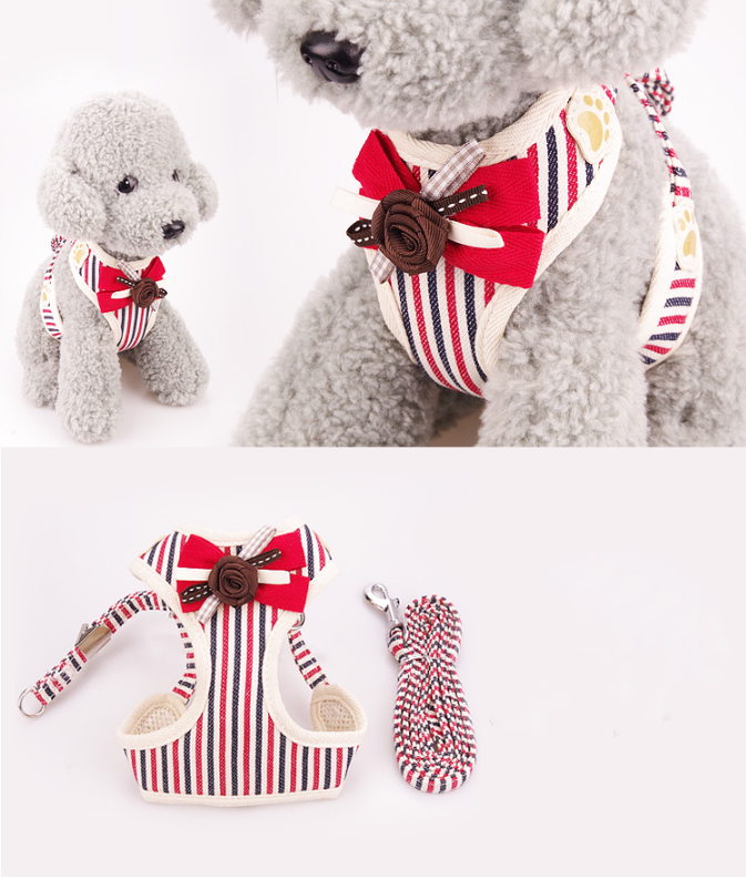 Pet Leash 2