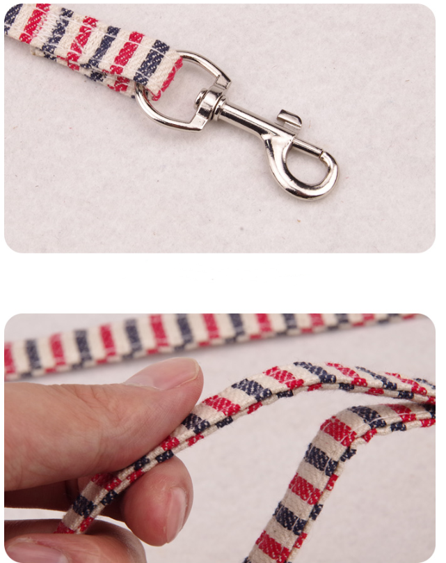 Pet Leash 5