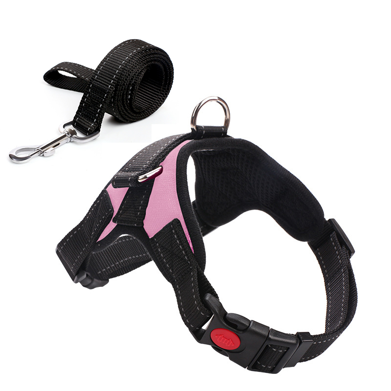 Fit and Comfort