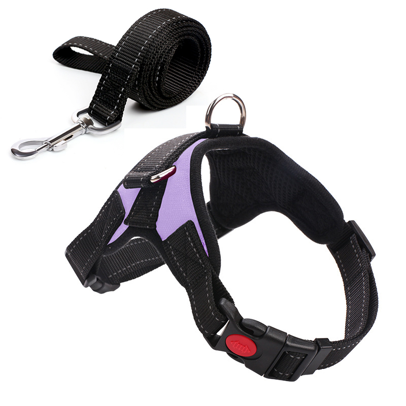 Adjustable Sizes