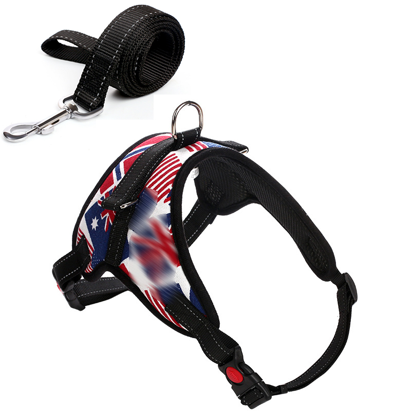 Dog Harness in Use