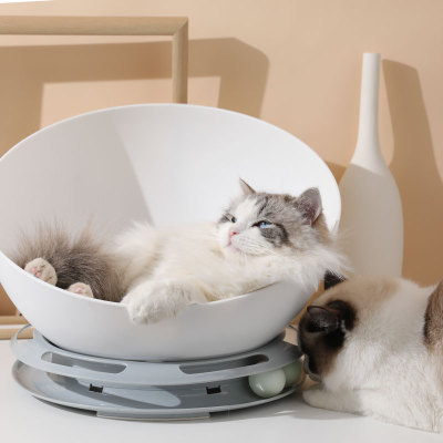 Cat Nest in Use