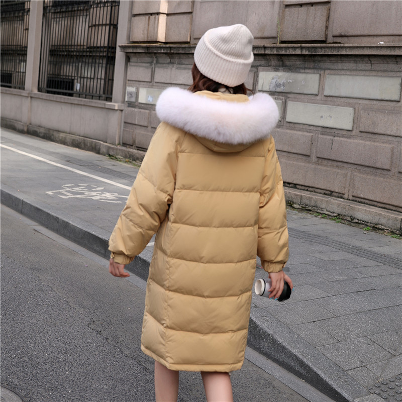 Winter Jacket Image 3