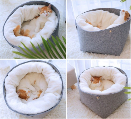 Soft Plush Interior