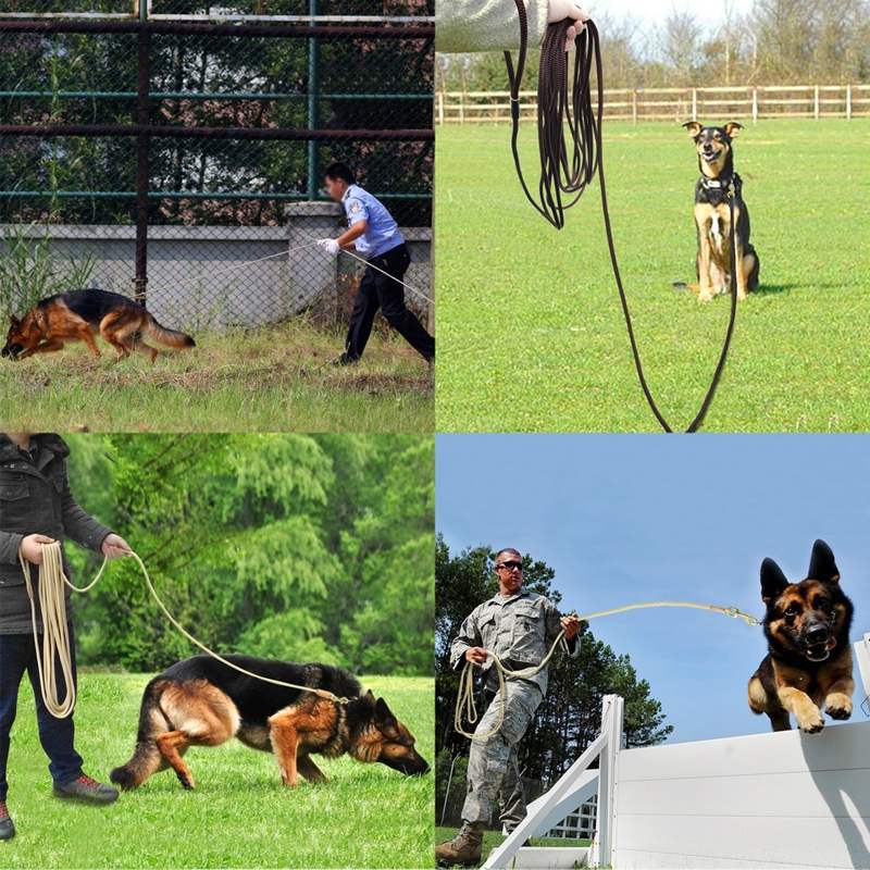 Pet Training Lead 4
