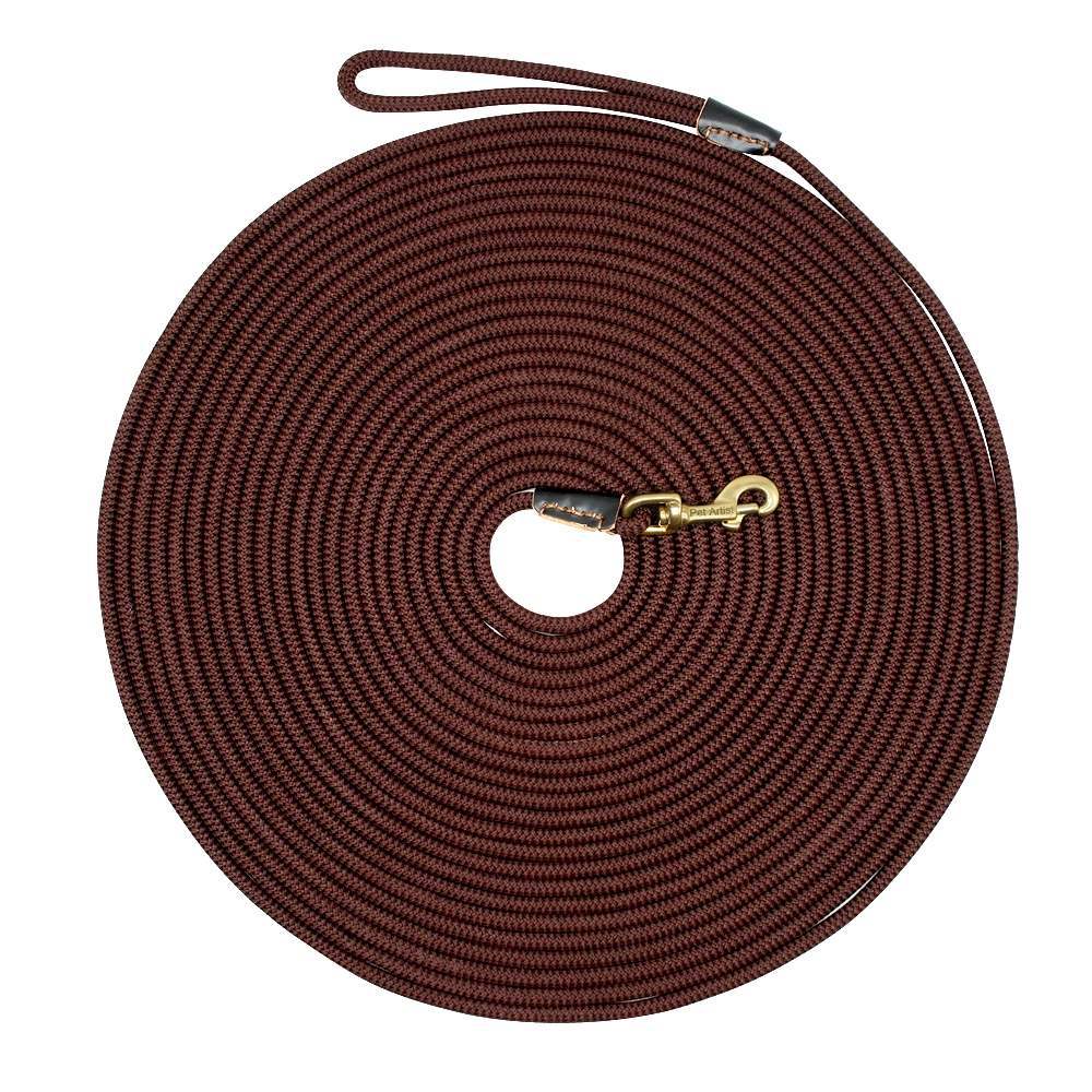 Pet Training Lead 2