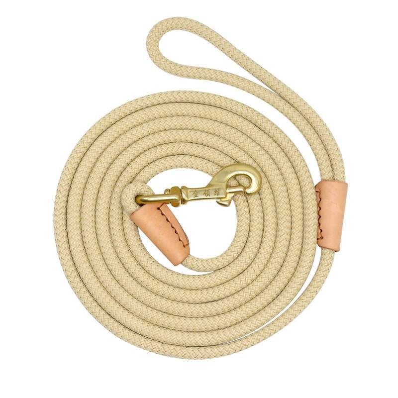 Pet Training Lead 5