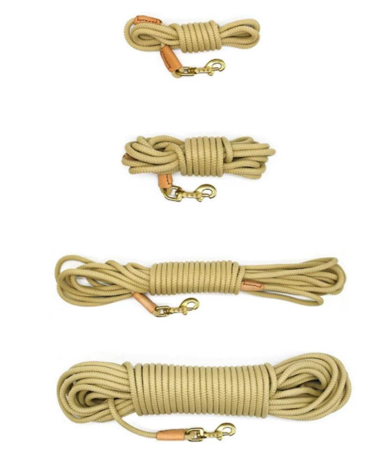Pet Training Lead 6