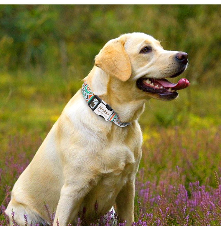 Dog Collar Image 4