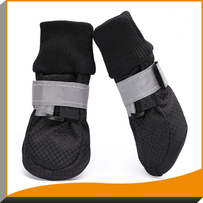 Dog Shoes 2