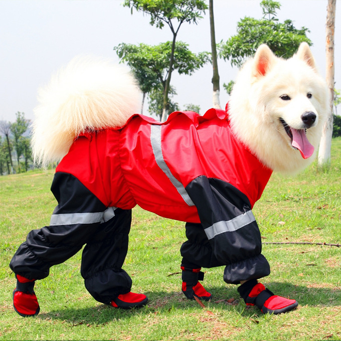 Dog Shoes 7