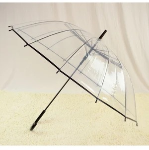 Transparent Umbrella Image 3