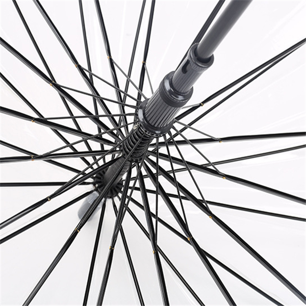 Transparent Umbrella Image 4