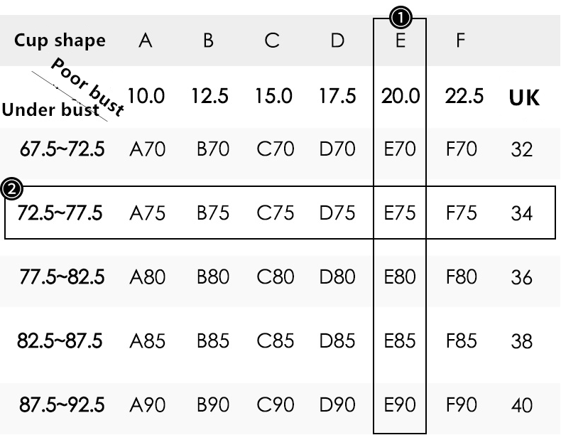 Lace Bra Detailed View