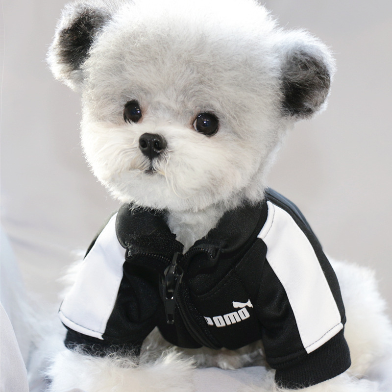 Dog Tracksuit Style 4