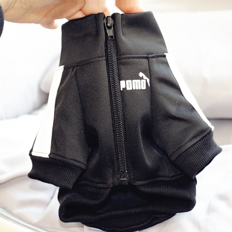 Dog Tracksuit Style 3