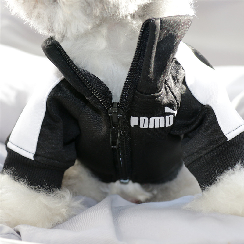 Dog Tracksuit Style 5