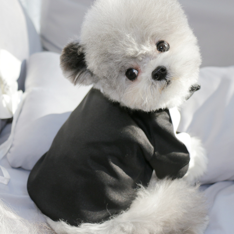 Dog Tracksuit Style 2