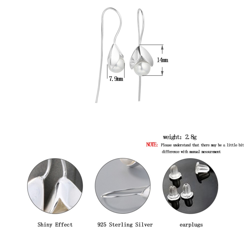 S925 Silver Earrings
