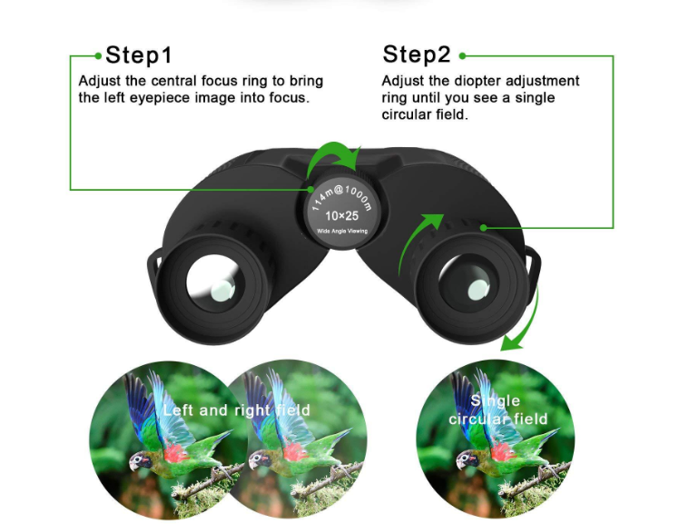 Low-Light Features