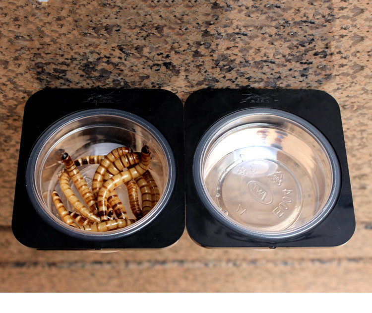 Pet Water Bowl Image 11