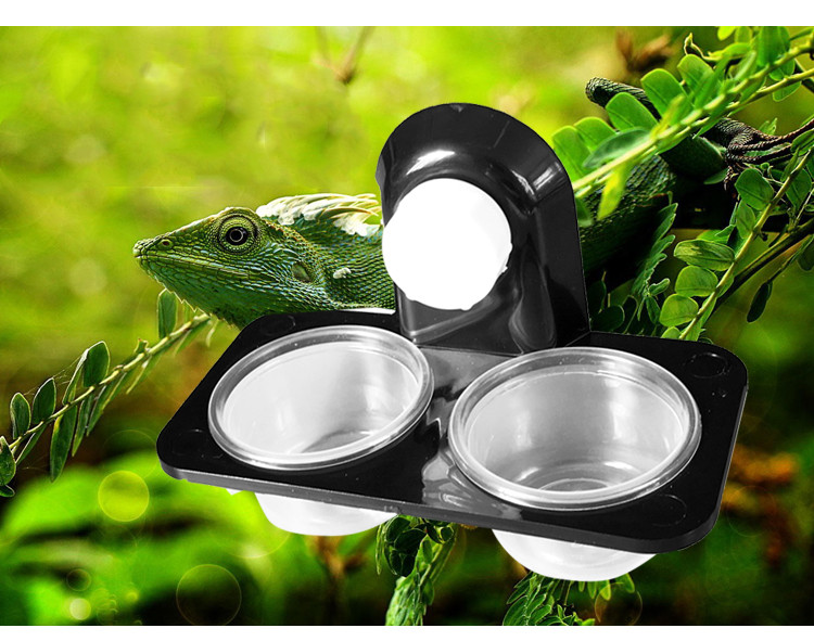 Pet Water Bowl Image 3