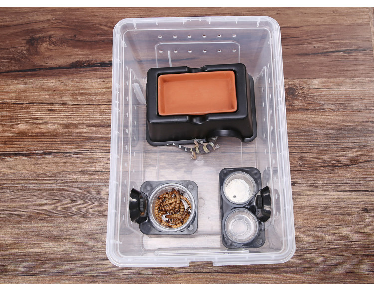Pet Water Bowl Image 4