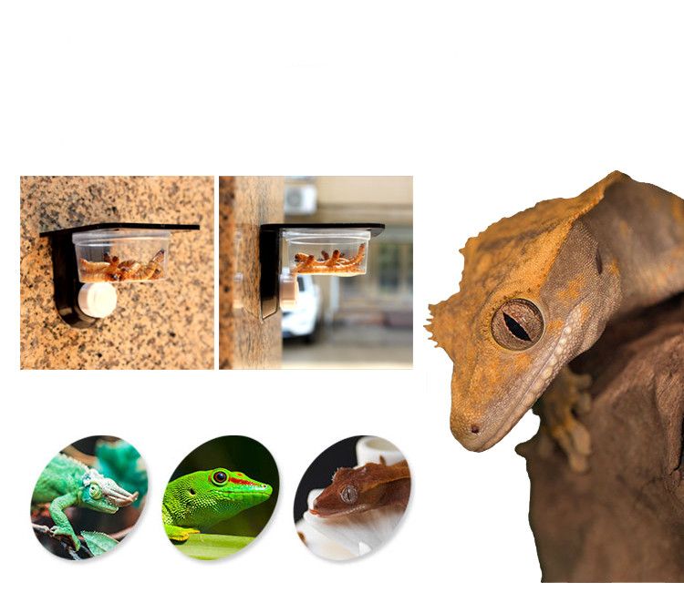 Pet Water Bowl Image 10