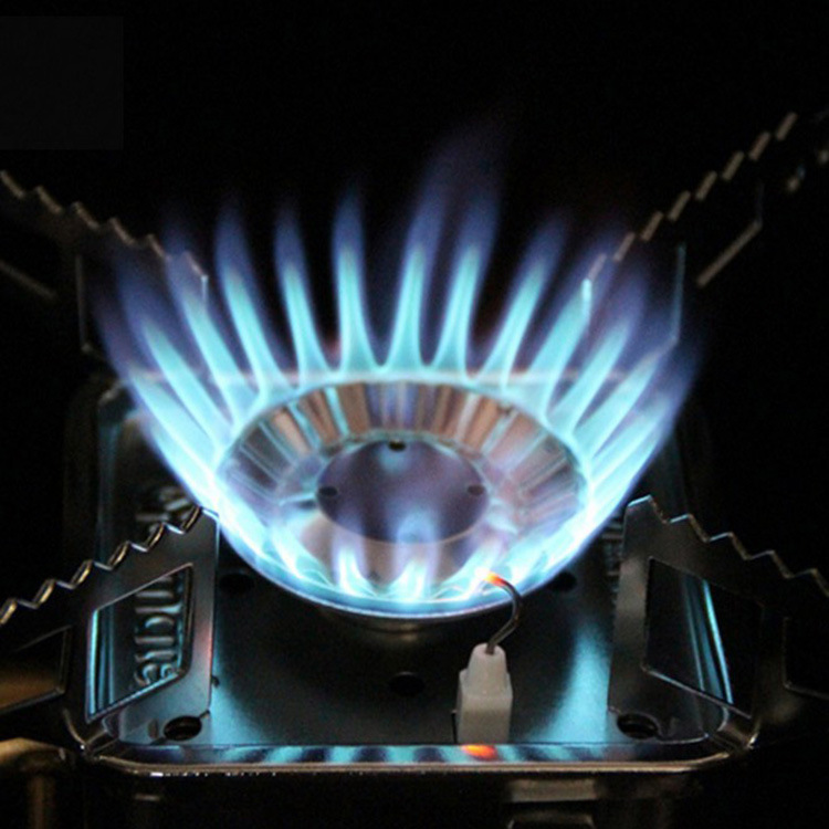 Portable Gas Stove Image 2