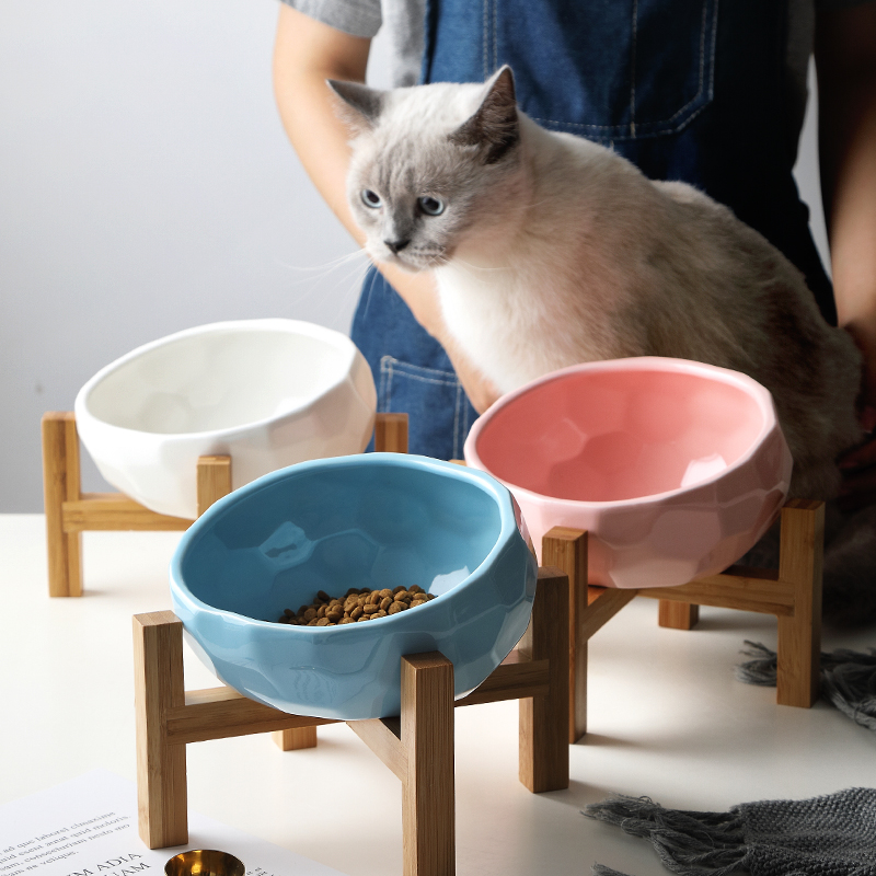 Stylish Pet Bowl